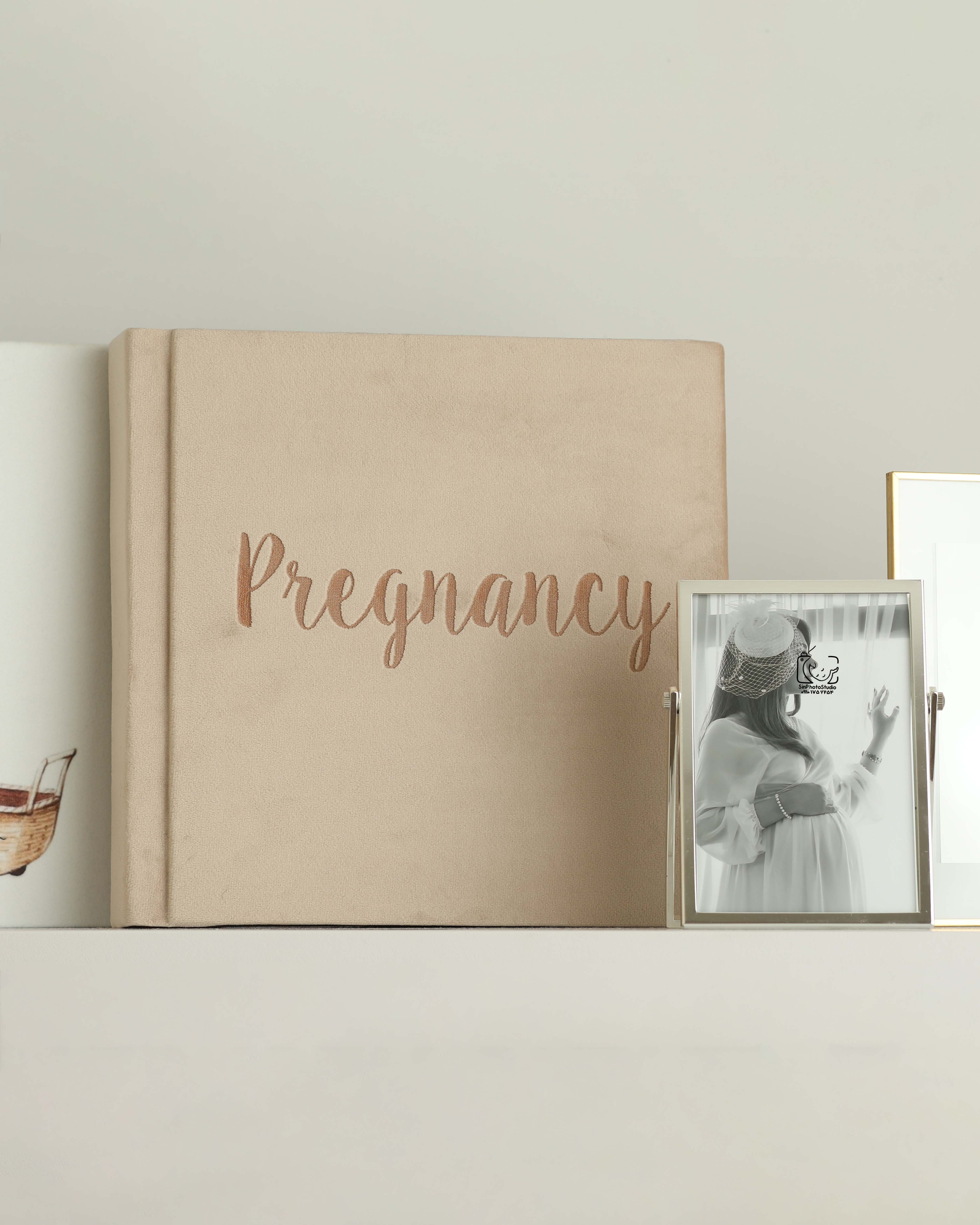 آلبوم Pregnancy